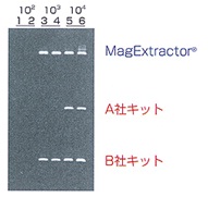 <b>血清からのHCV RNAの抽出とRT-PCRによる検出例</b>