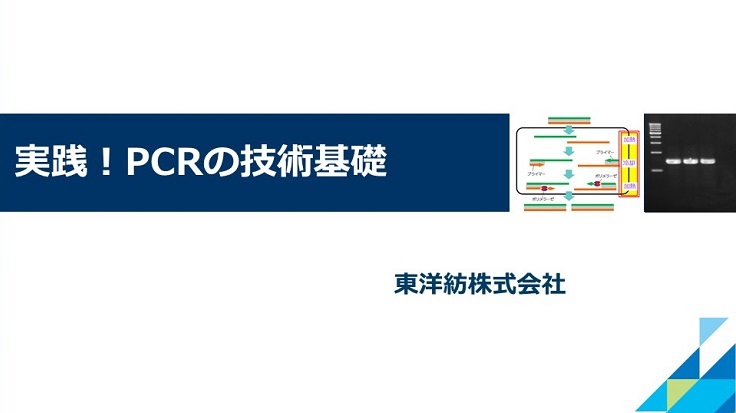 実践!PCRの技術基礎