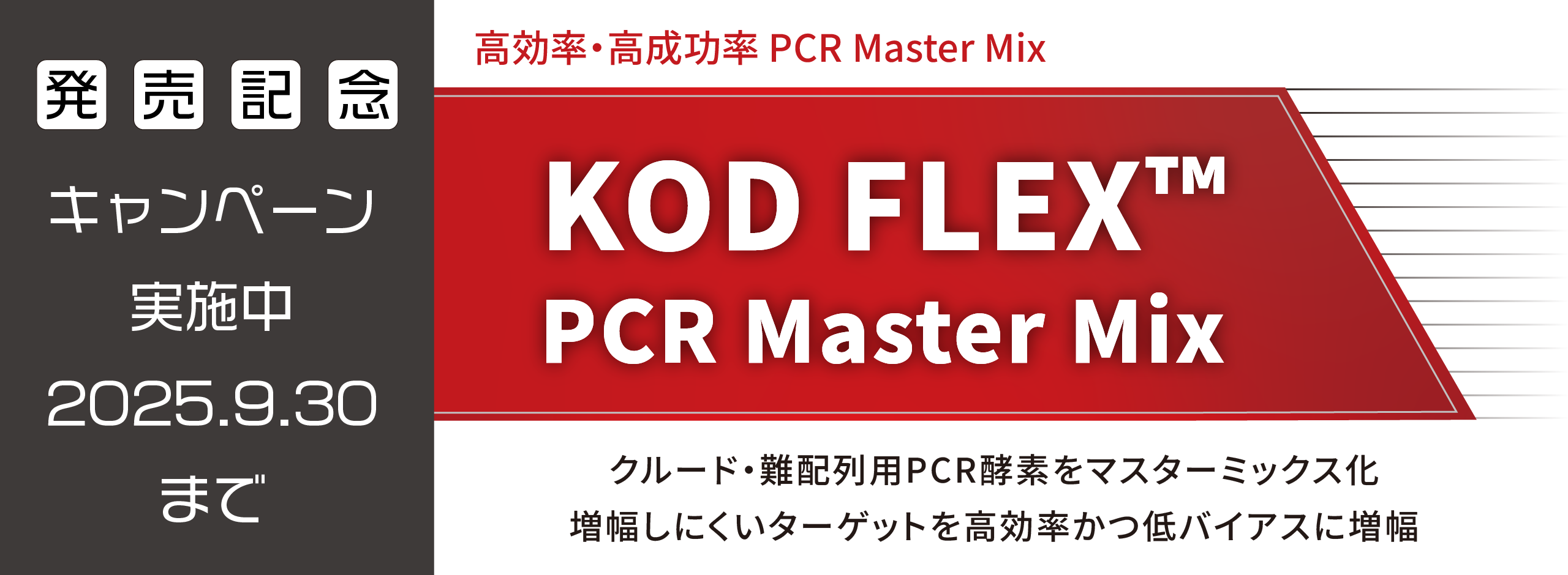 KMXキャンペーン