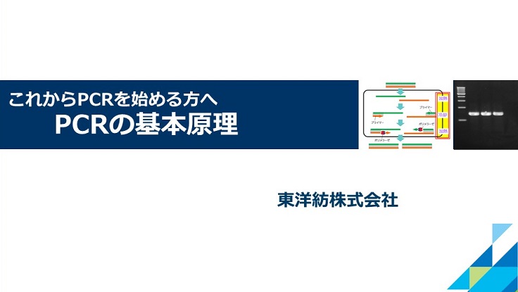 【これからPCRを始める方へ】PCRの基本原理