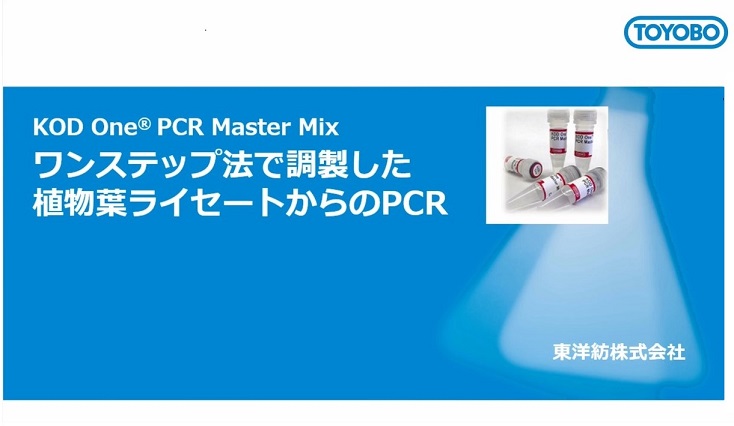 植物葉ライセートからのPCR