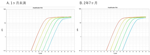 図1