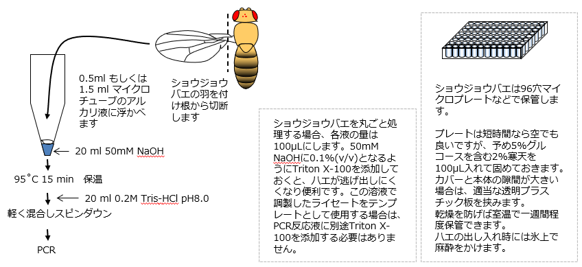 実施例 | バイオ事業総括部/バイオプロダクト営業部