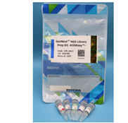 その他 ngs GenNext® NGS Library Prep Kit -KODEasy®- - 製品情報 | バイオ