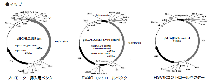 Multireporter Assay System Tripluc ベクターシリーズ 製品情報 バイオ事業総括部 バイオプロダクト営業部