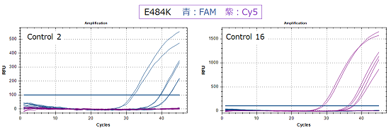 Sars Cov 2 Detection Pcr Core Kit Variant Primer・probe 製品情報 バイオ事業総括部バイオプロダクト営業部