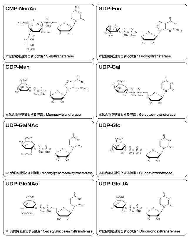 糖ヌクレオチド 製品情報 バイオ事業総括部/バイオプロダクト営業部